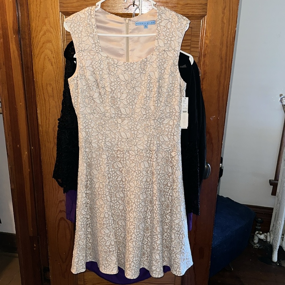 Antonio Melani Bardo cream lace dress. NWT size 8 - Picture 2 of 11